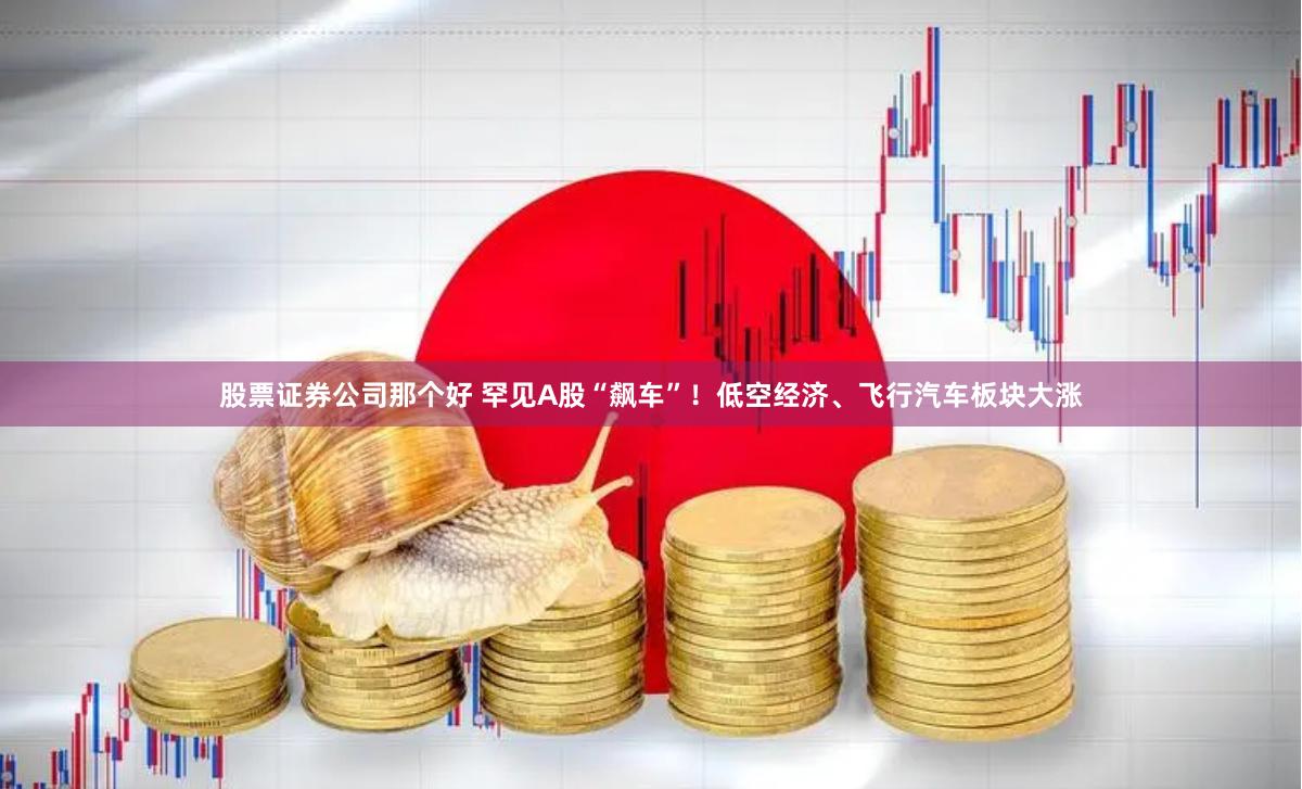 股票证券公司那个好 罕见A股“飙车”！低空经济、飞行汽车板块大涨