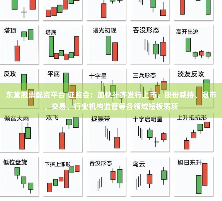 东营股票配资平台 证监会：加快补齐发行上市、股份减持、退市、交易、行业机构监管等各领域短板弱项