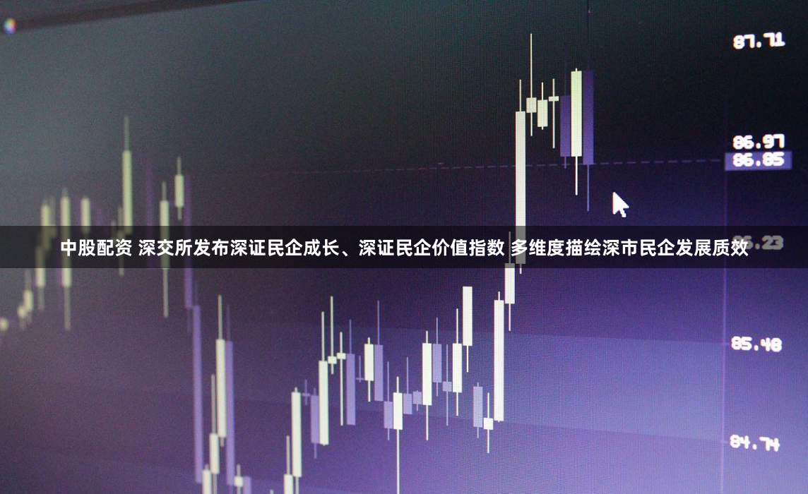 中股配资 深交所发布深证民企成长、深证民企价值指数 多维度描绘深市民企发展质效