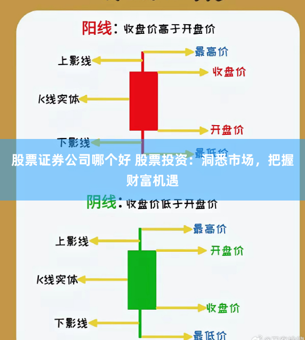 股票证券公司哪个好 股票投资：洞悉市场，把握财富机遇
