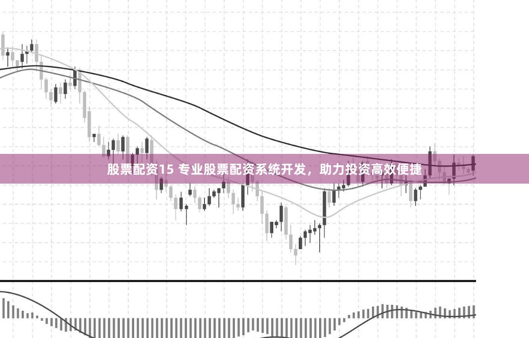 股票配资15 专业股票配资系统开发，助力投资高效便捷