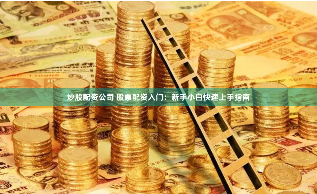 炒股配资公司 股票配资入门：新手小白快速上手指南