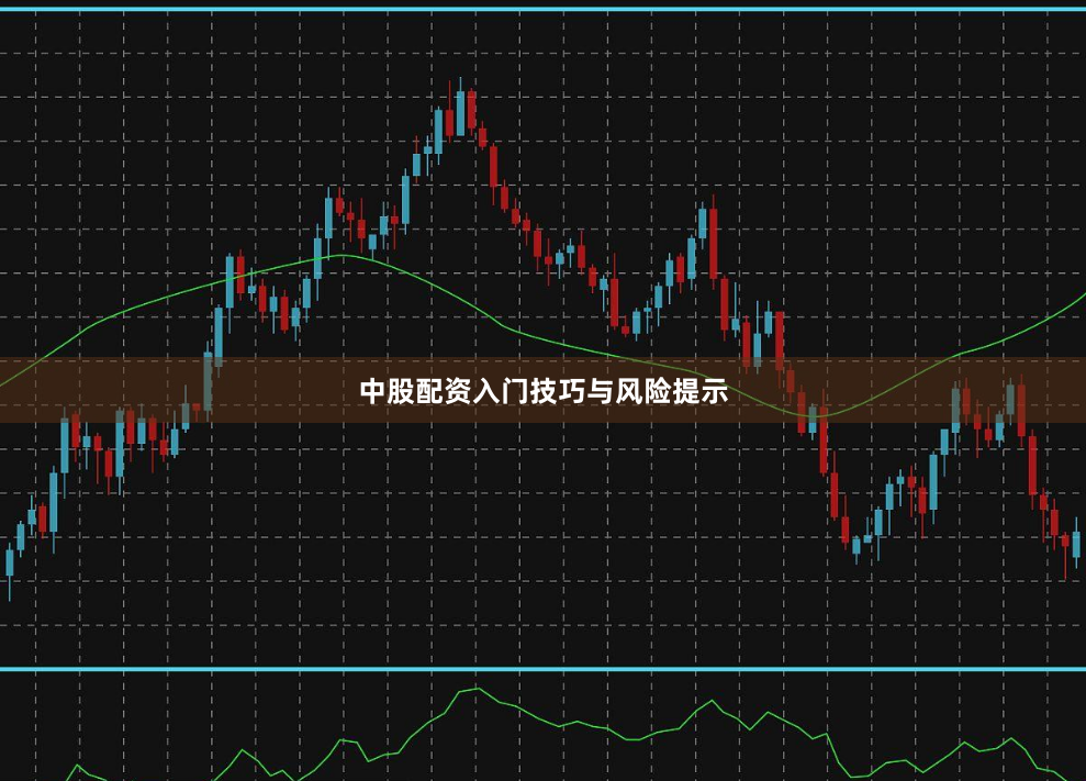 中股配资入门技巧与风险提示